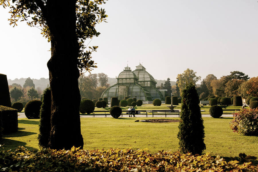 Palmenhaus, Schlosspark Schönbrunn