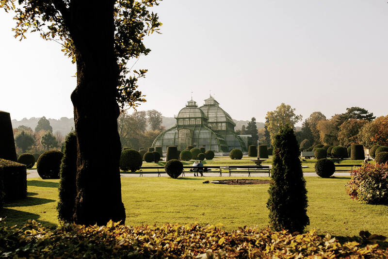 Palmengarten im Schloss Schönbrunn